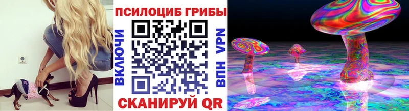 Галлюциногенные грибы Psilocybe  Киров 